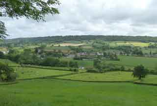 View of Awliscombe