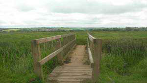 Exminster Marshes