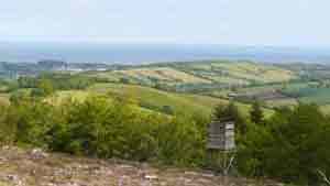 View of East Devon from Obelisk