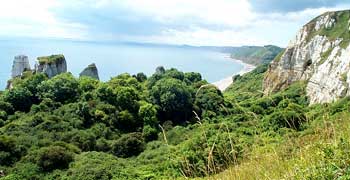 Branscombe Cliffs