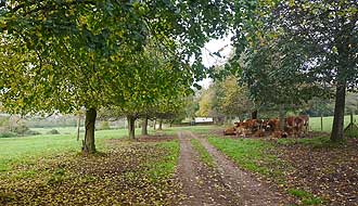 Site of Columbjohn's Mansion