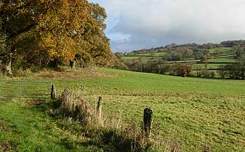 Footpath to the Otter