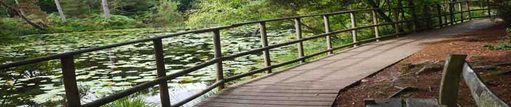 Bystock Nature Reserve