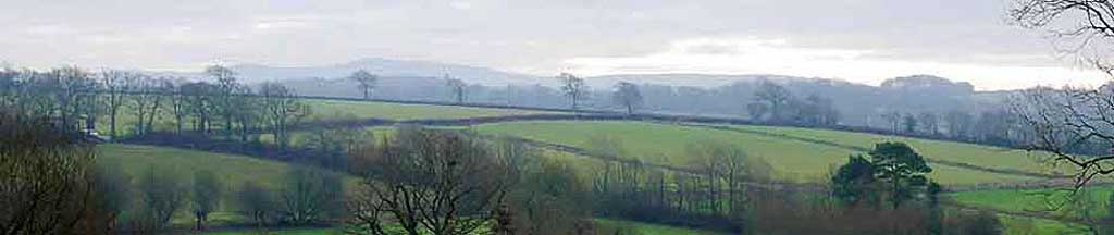 View of Dartmoor
